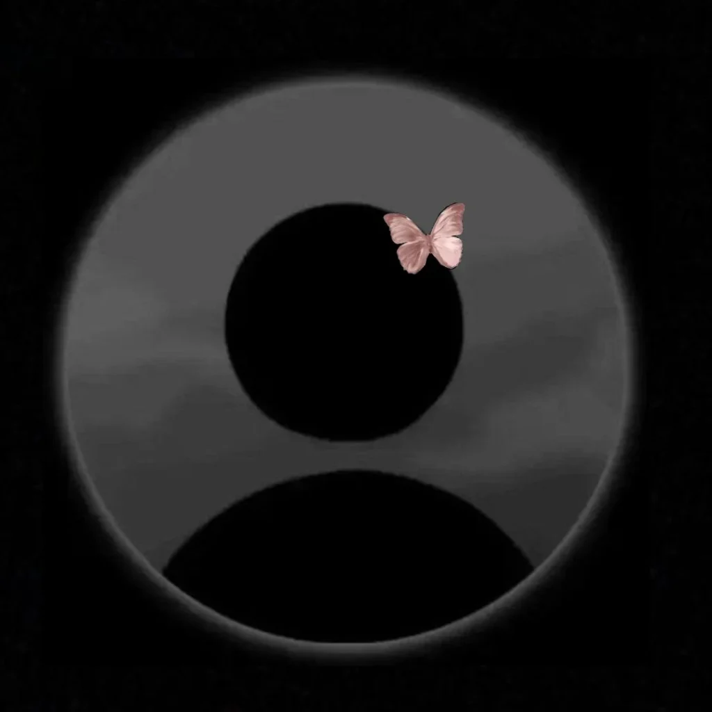 Black Profile Unknown DP WhatsApp