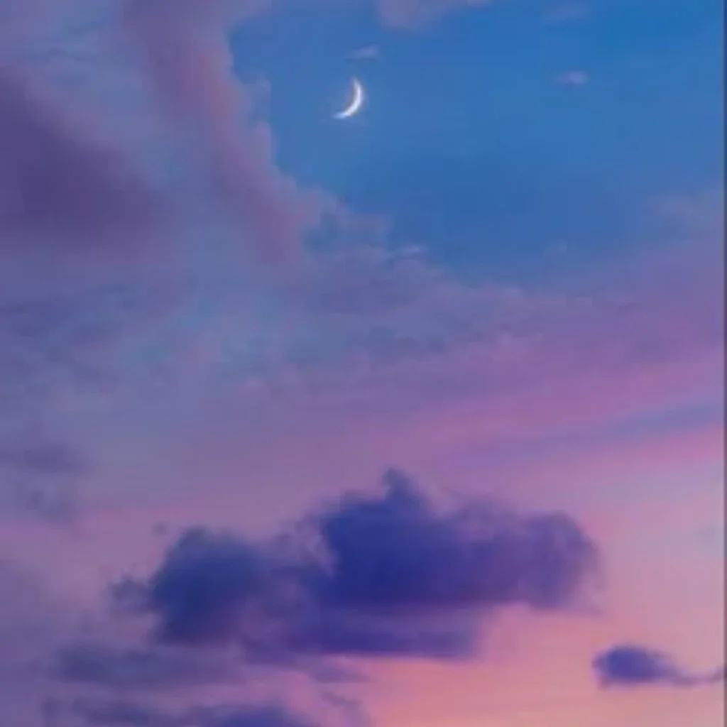 DP Aesthetic