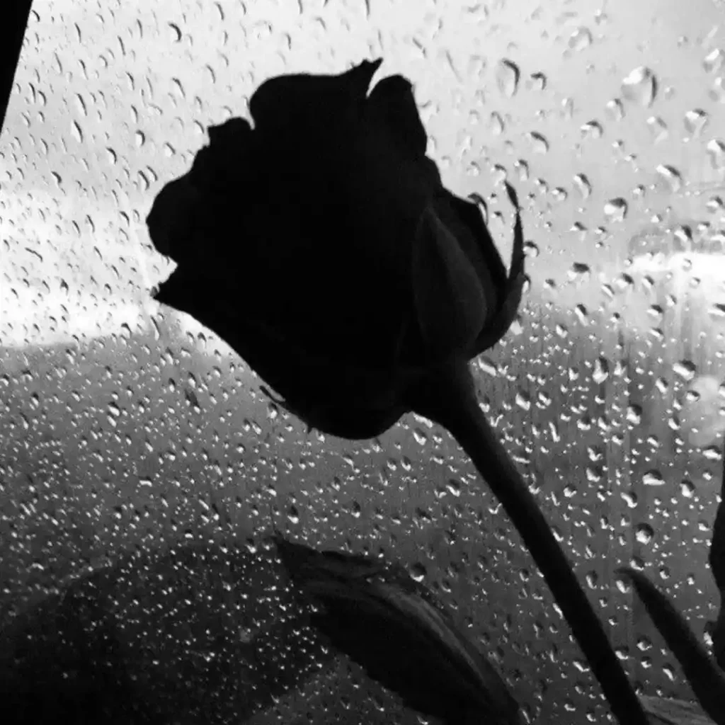 Instagram DP Sad