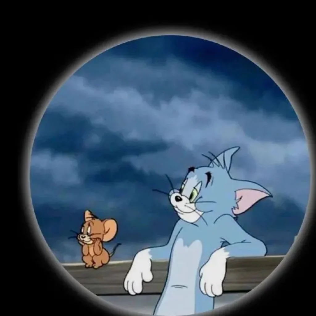 Profile Tom and Jerry Dp